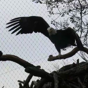 Meet your Posher, Jianfeng